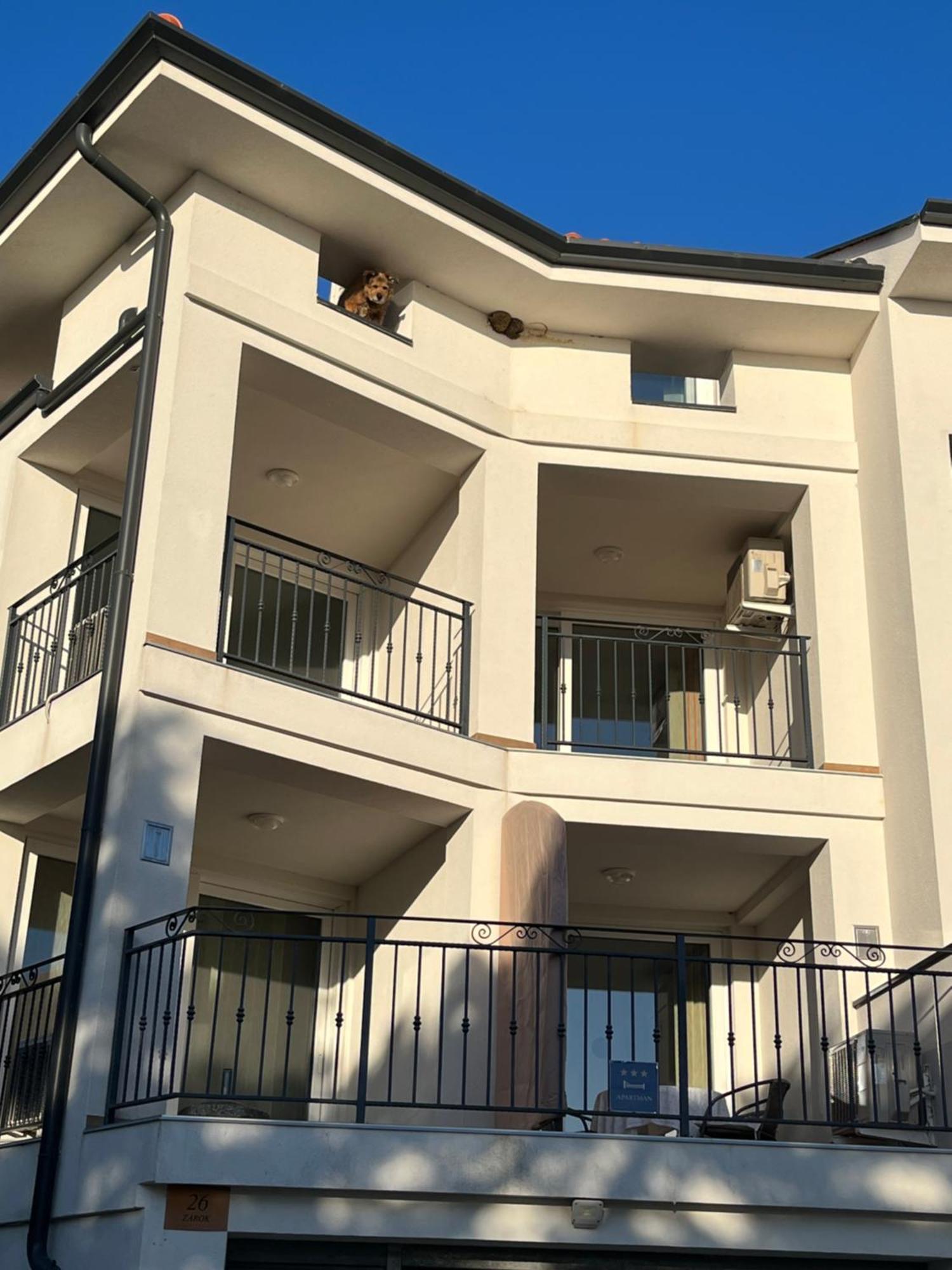Apartments Amore Baška Extérieur photo